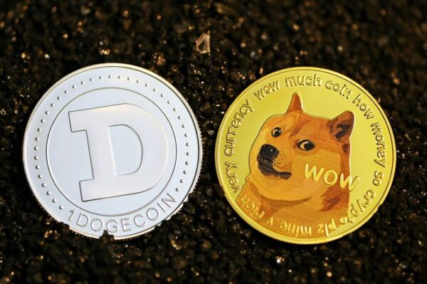 Czy Dogecoiny i Shiba Inu mają jeszcze potencjał w 2025 roku?